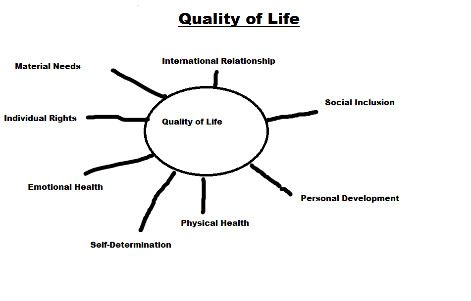 Material quality. Quality of Life. Characteristics of the individual\. Life of material.